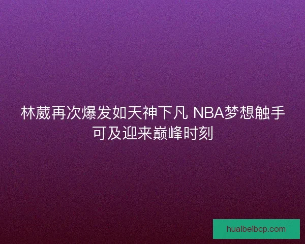 林葳再次爆发如天神下凡 NBA梦想触手可及迎来巅峰时刻